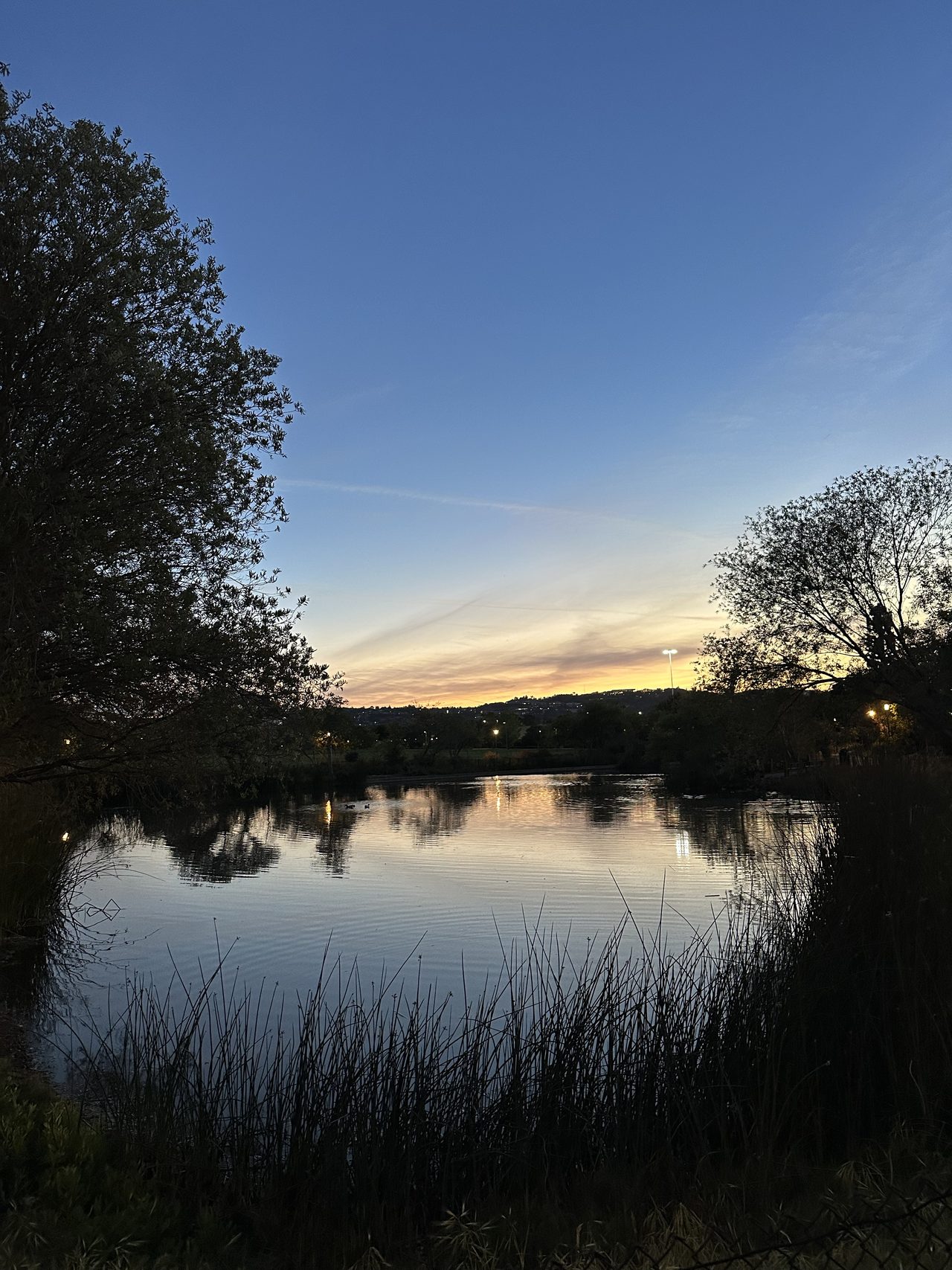 Same pond in March, ten minutes past the good part.